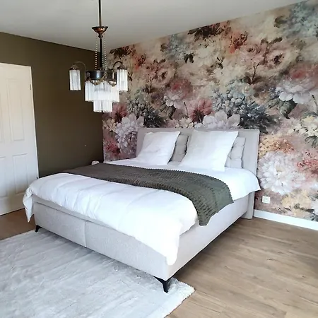 La Maison Solange - Location Maison Meublee Confort 6-8 Personnes * Hochfelden