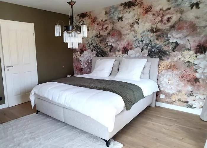 La Maison Solange - Location Maison Meublee Confort 6-8 Personnes * Hochfelden